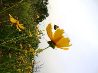 長野県飯田市緑体験交流