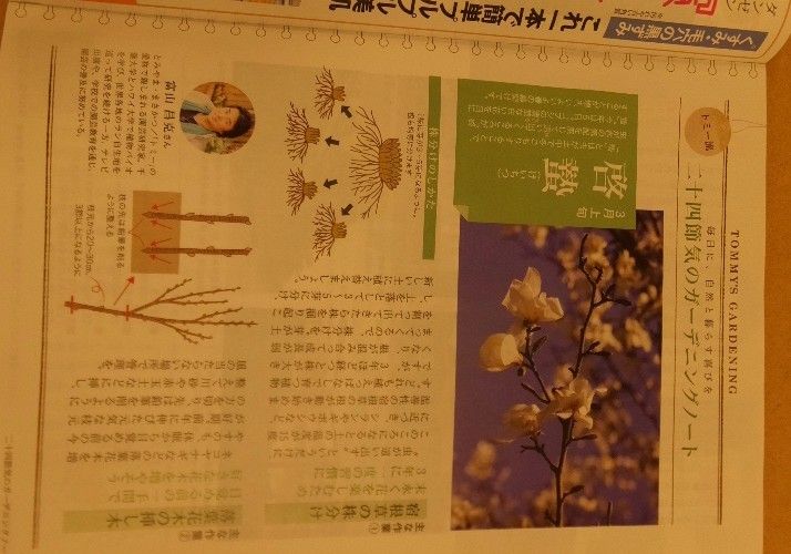 最終回です。スタイルアサヒ3月号。