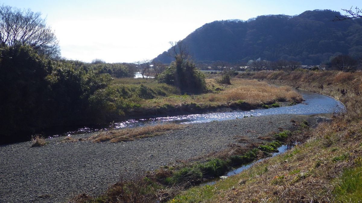 フィールドにて 2016 2月　川