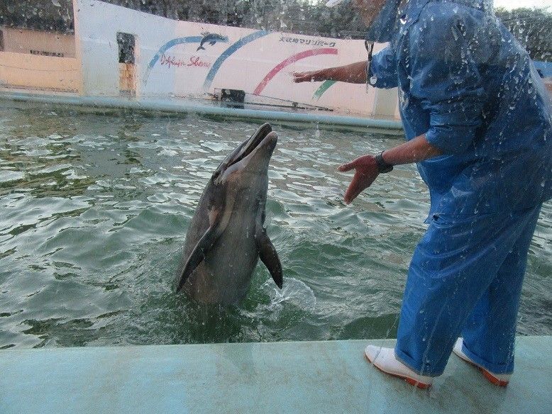 今日はイチゴ狩りに行きました