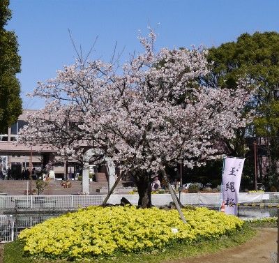 展示会１５日目も終了です。