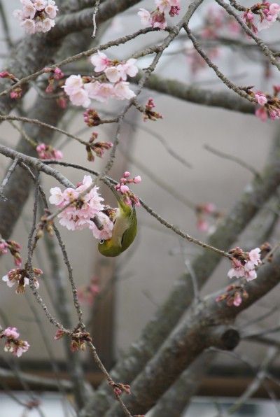 一週間前から止まっている