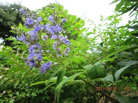 木曜日は休養日