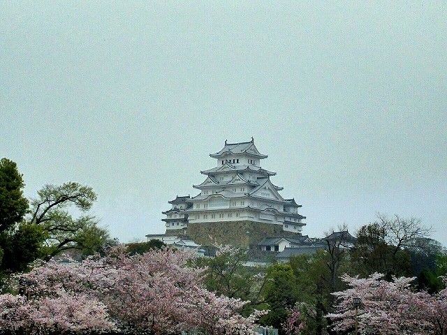 今年も見れた城下の桜～*