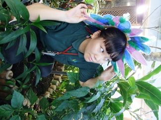 アートな植物園体験～大塚いちお先生と！