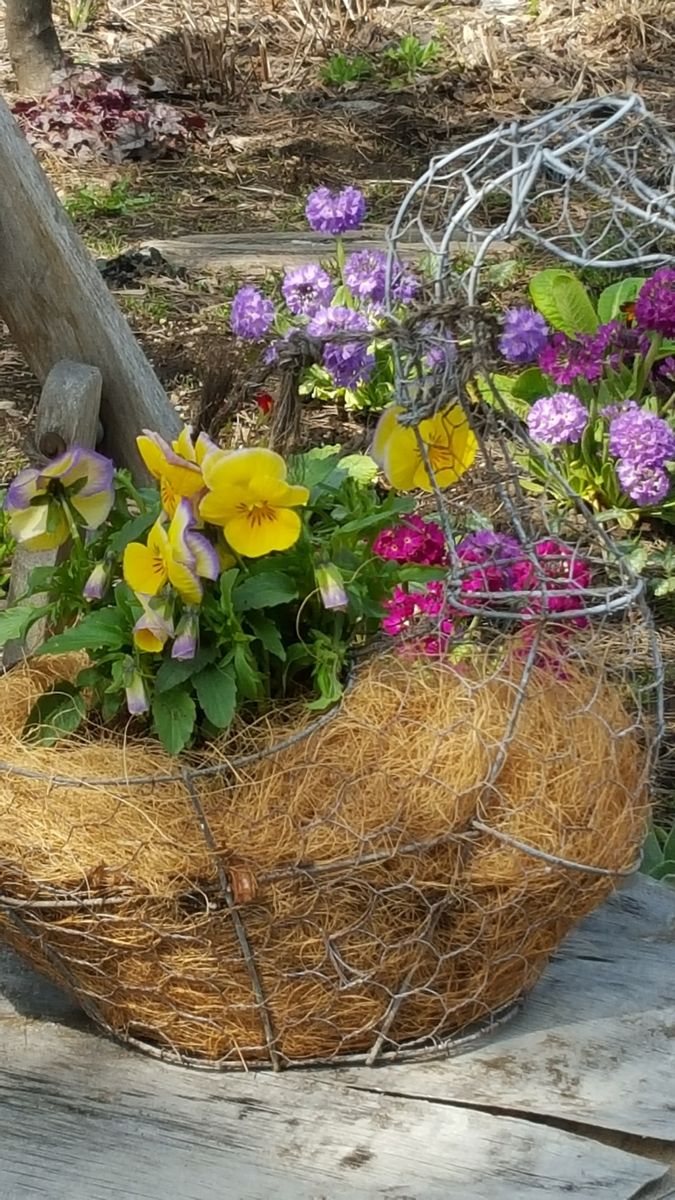 お花のシーズン、始まりました！