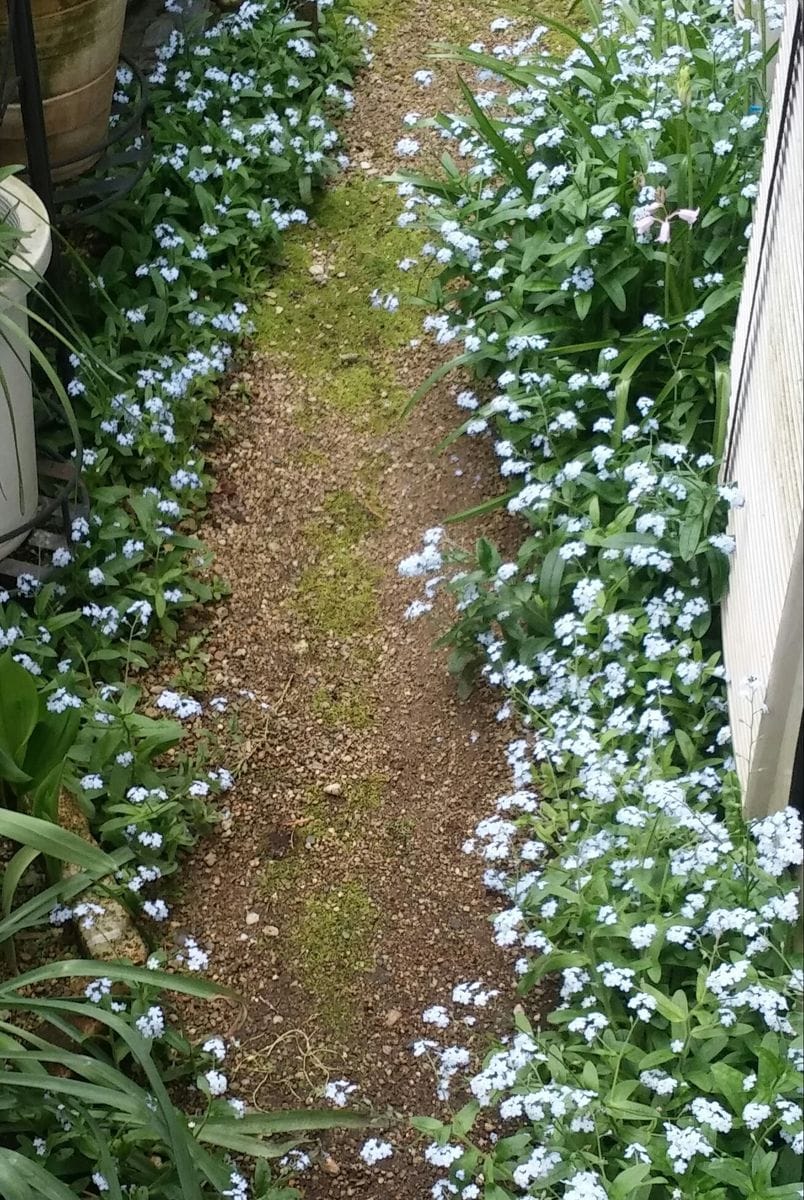 ☔降ってくる前に