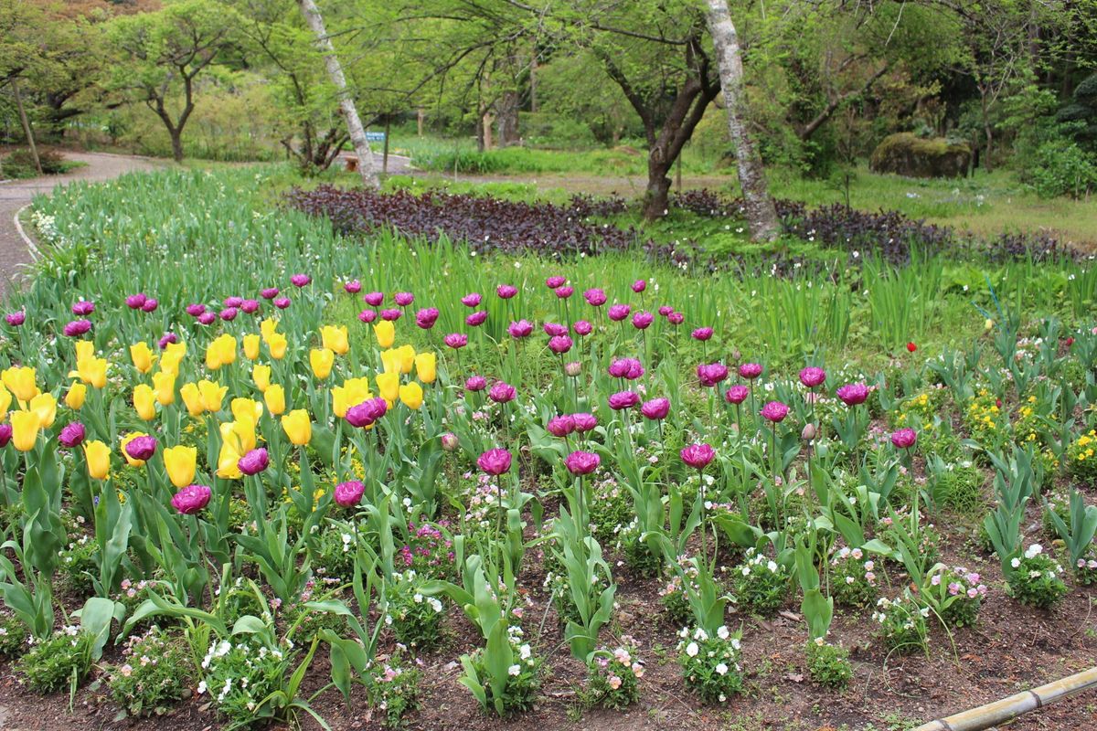 またまた寄ってしまいました・・・　秩父宮記念公園１