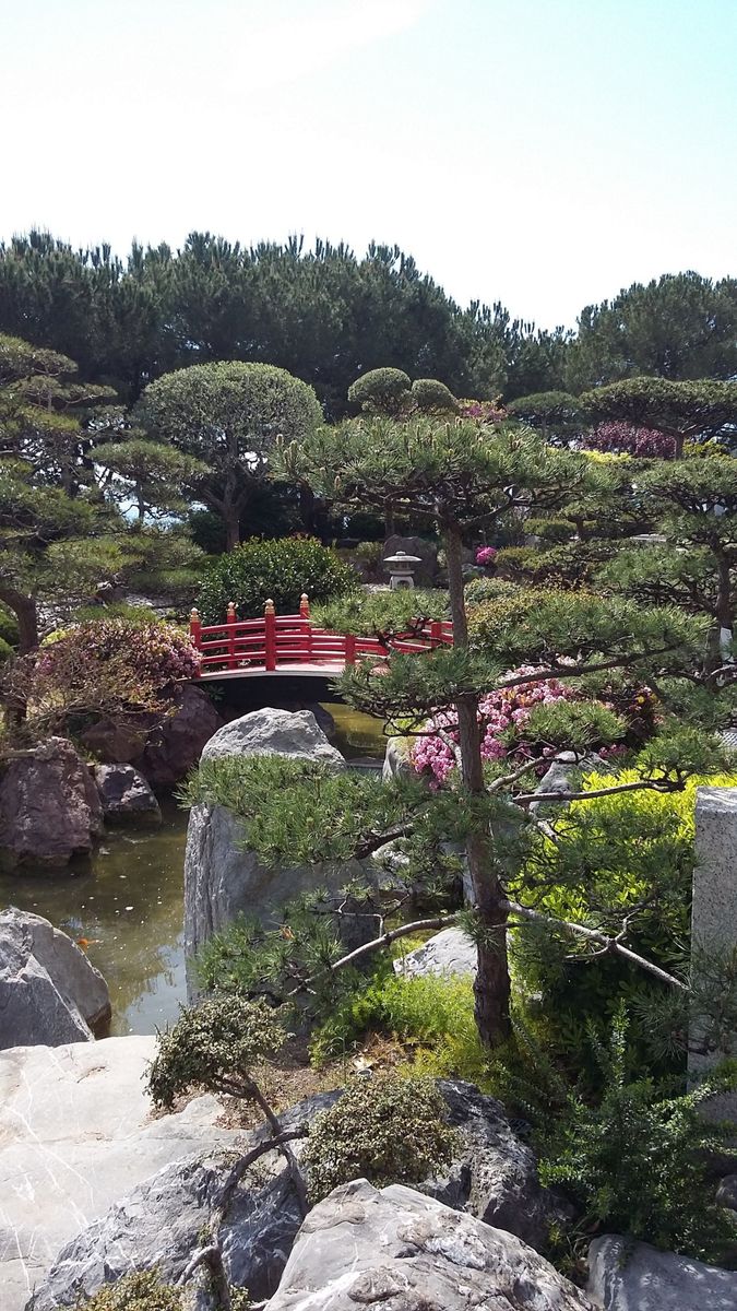 日本庭園🌿