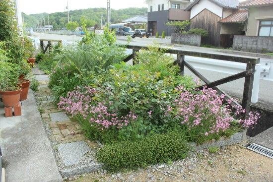 桜の下もお掃除