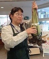 5月4日は植物園の日！　無料配布するよ