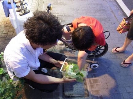 植物センター外交官たち