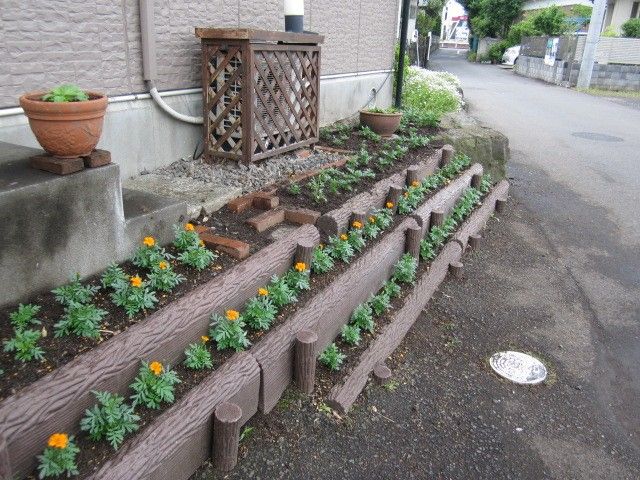 庭の植え替えをしました