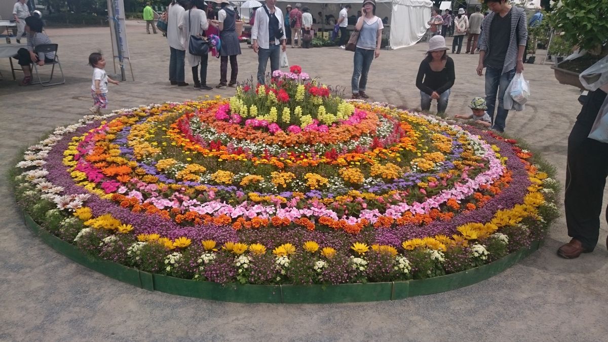 厚木市のみどりの祭り