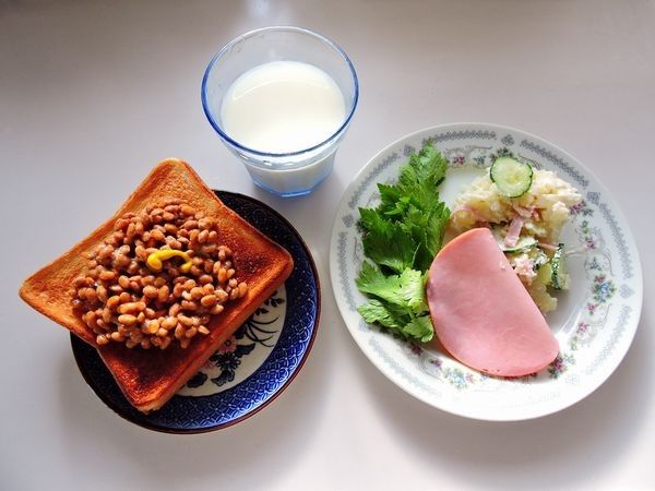 食事療法MS④97日目