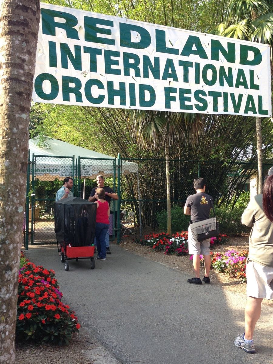 20th Redland International Orchid Festival: