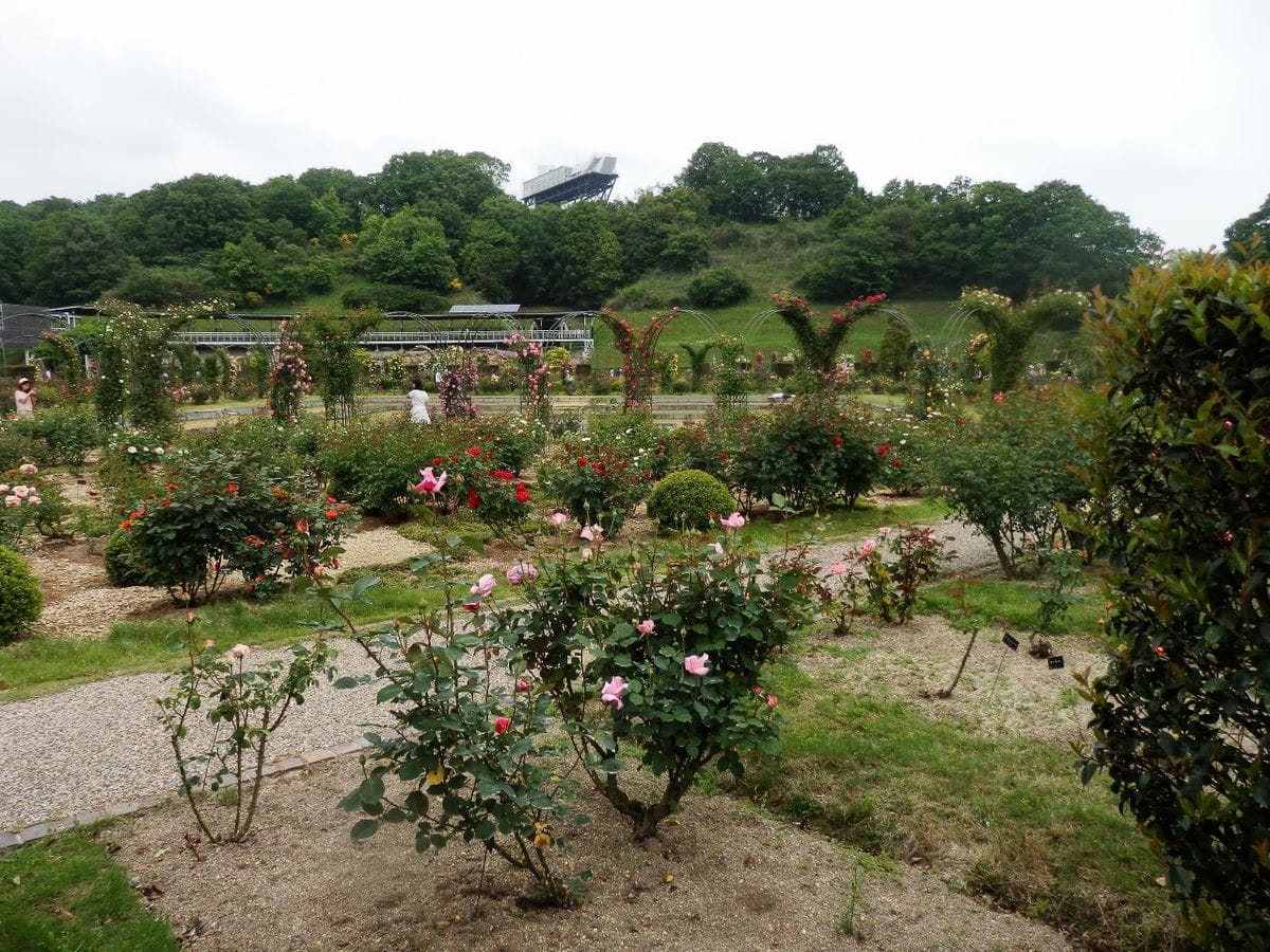 オフ会 in 岐阜