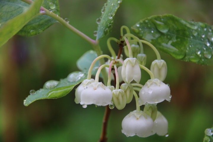 雨の１日①