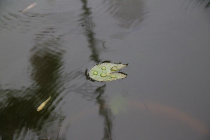 雨の１日②