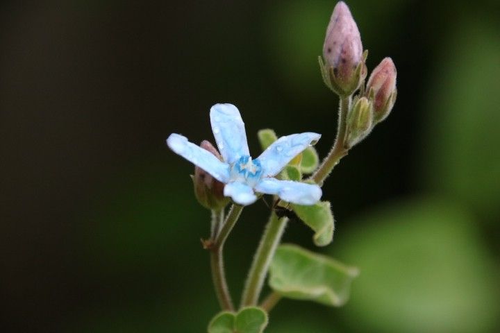 雨の１日②