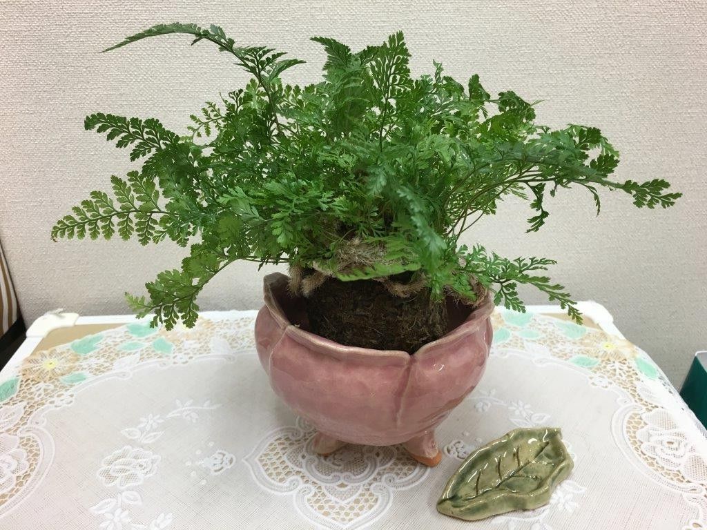 花器をつくる