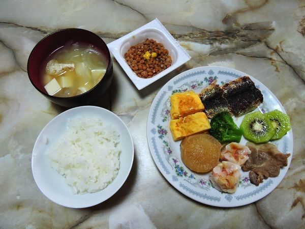 お茶漬け記念の日。食事療法MS④100日目