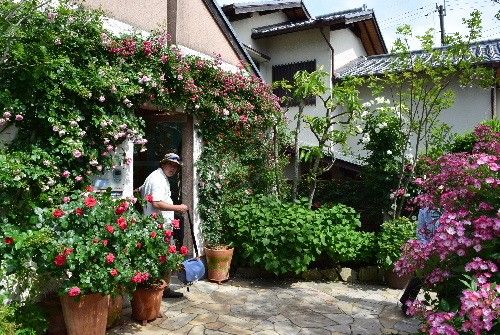 今日の花散歩はすごすぎました。