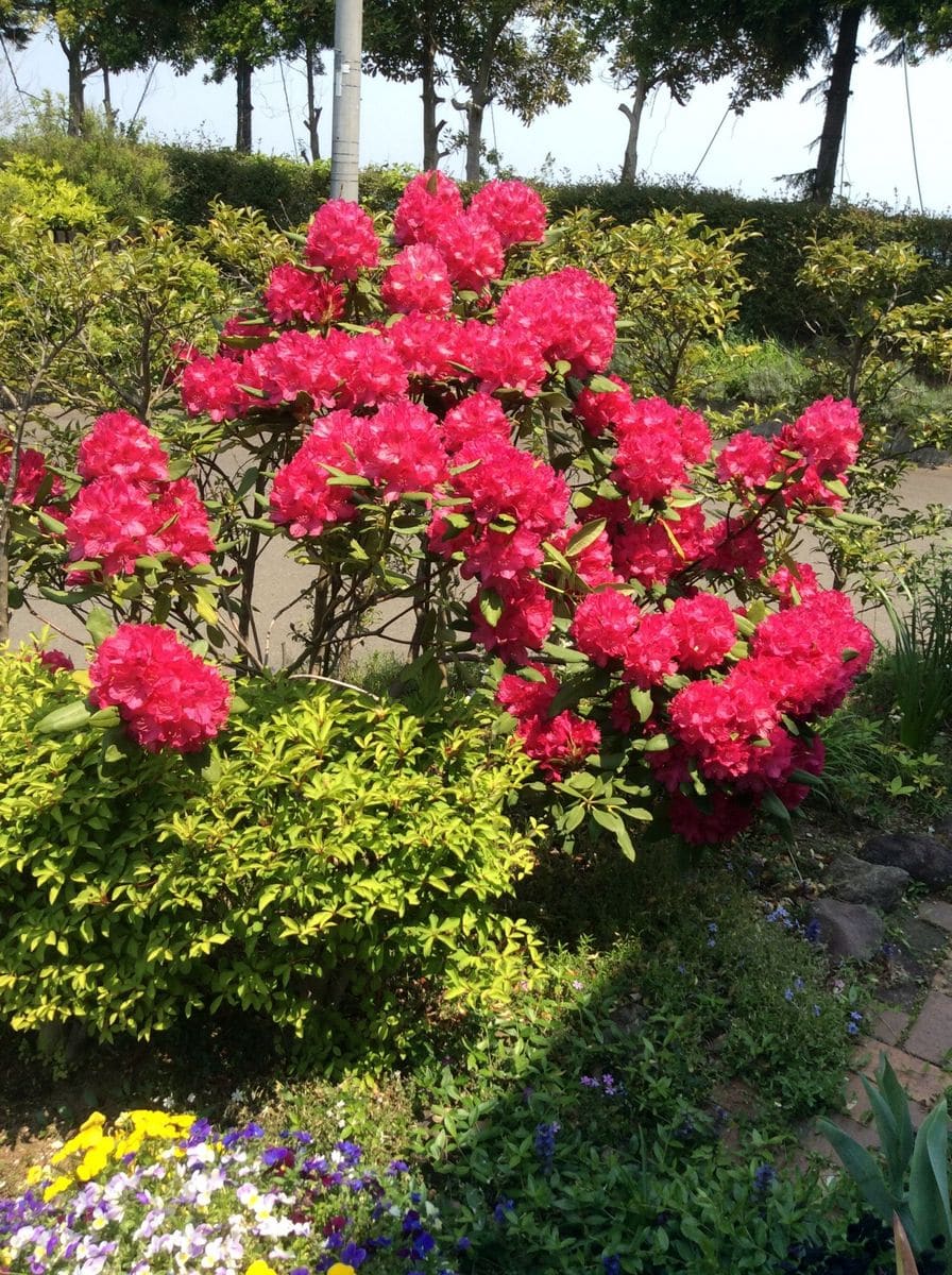 今日は天気がいいぞ〜