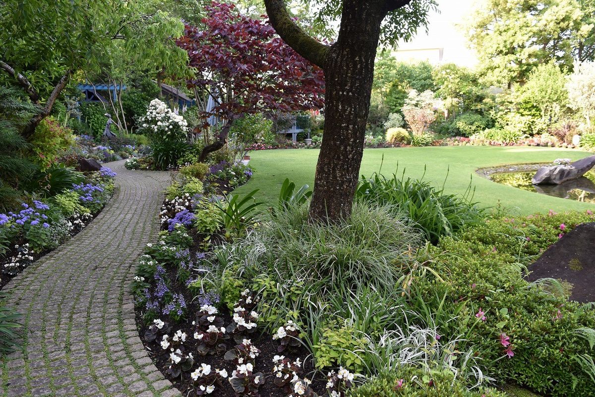 夏の植え替え