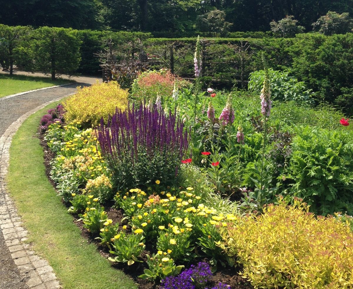 七ツ洞公園  英国風景式庭園