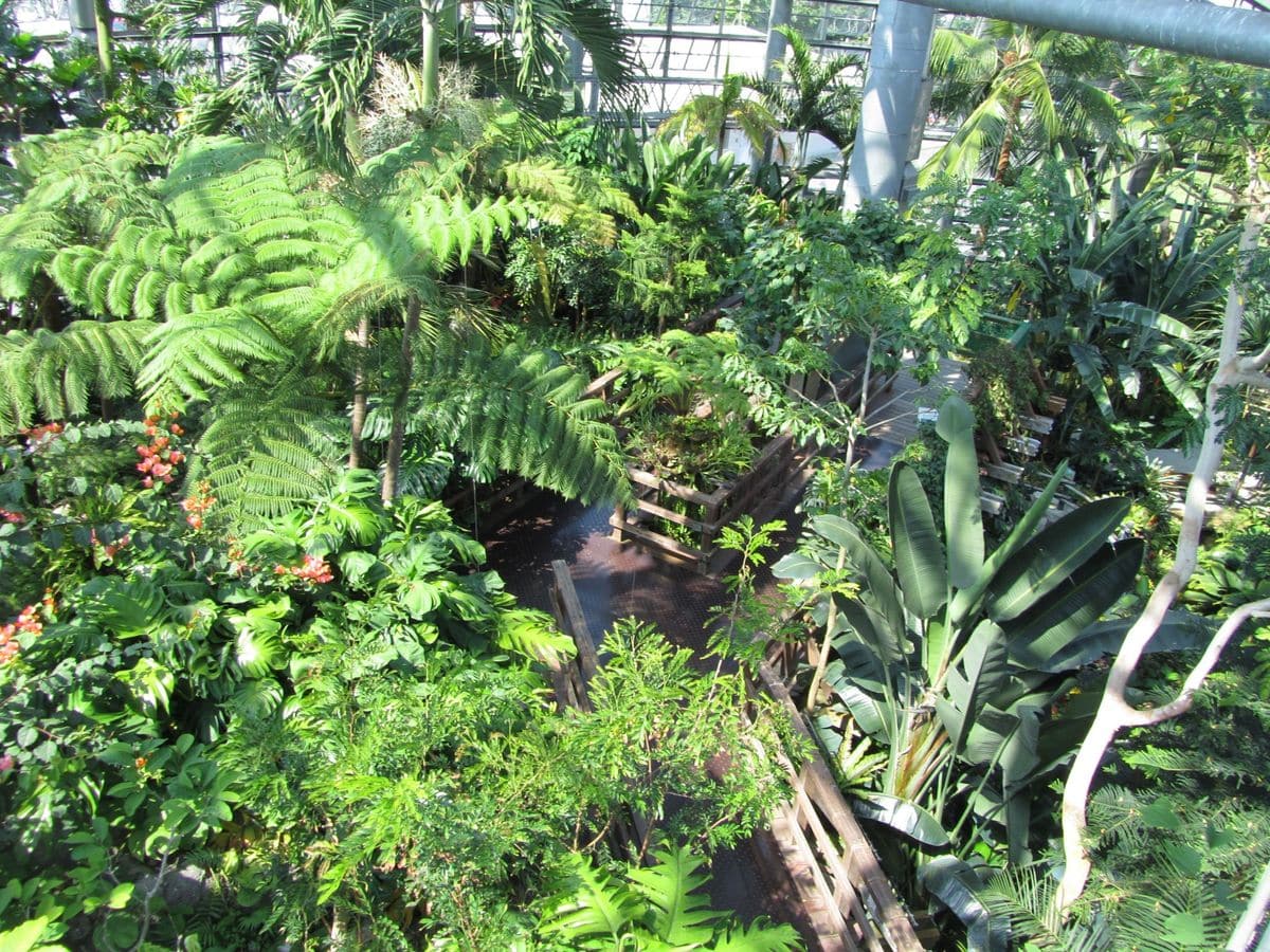 植物園バックヤードツアー、始動します