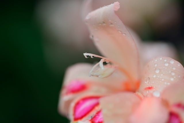 雨がやんできました