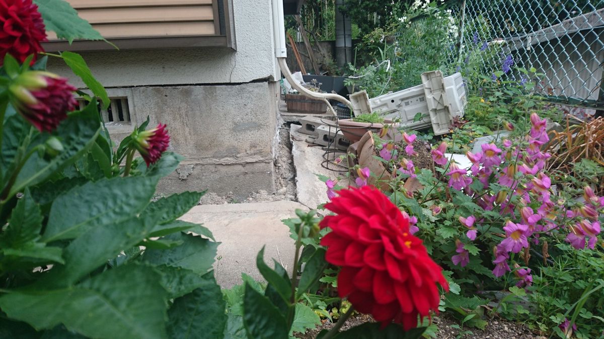 地震後の花壇の様子