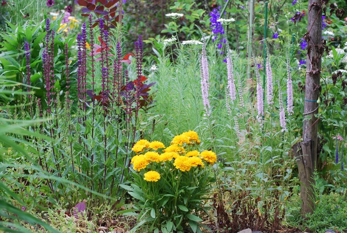 今が花盛り