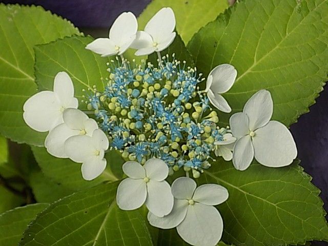 雷雨のち晴れ