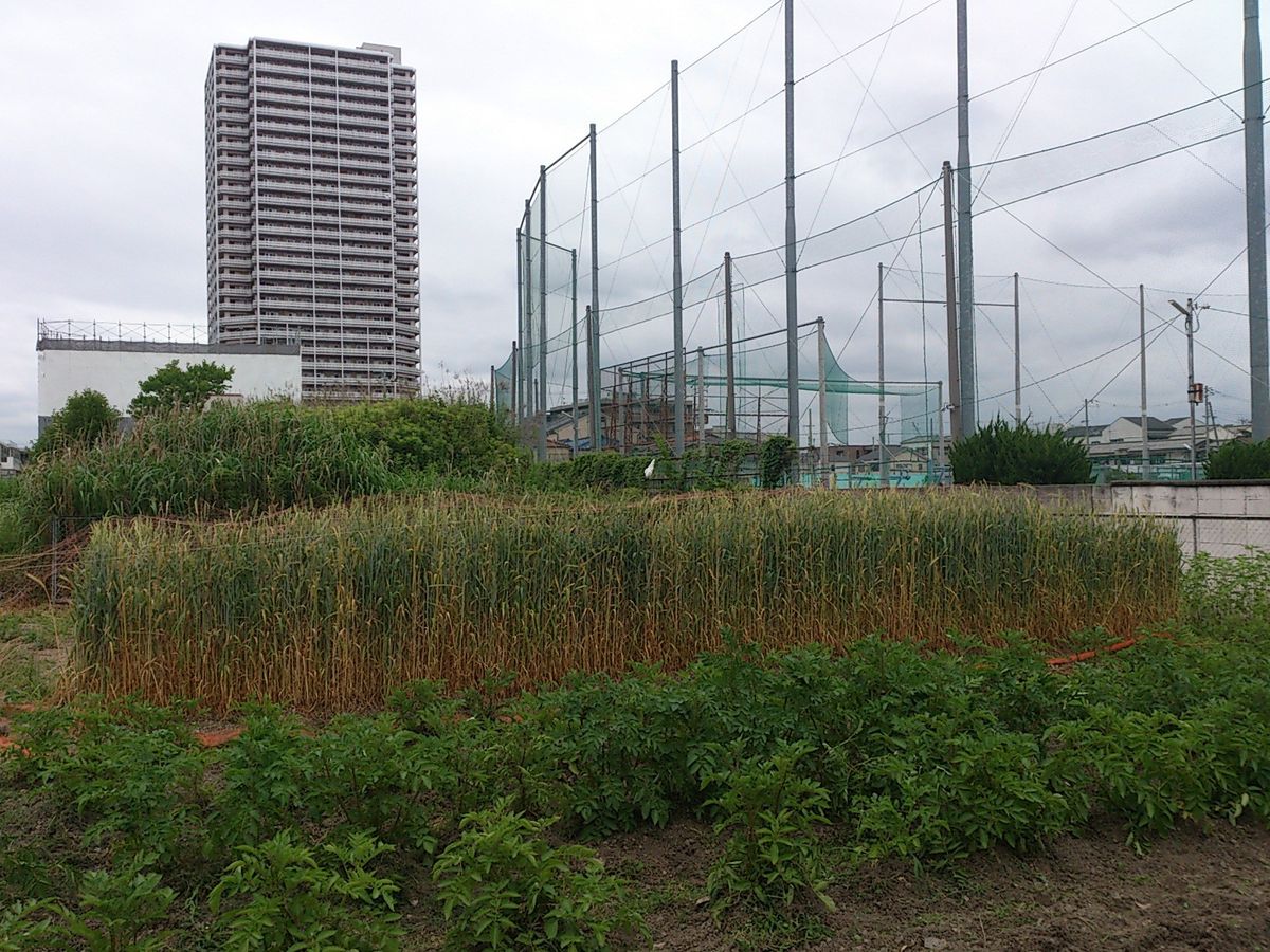 グループホーム菜園