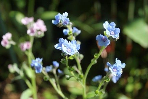 今日は晴れでした