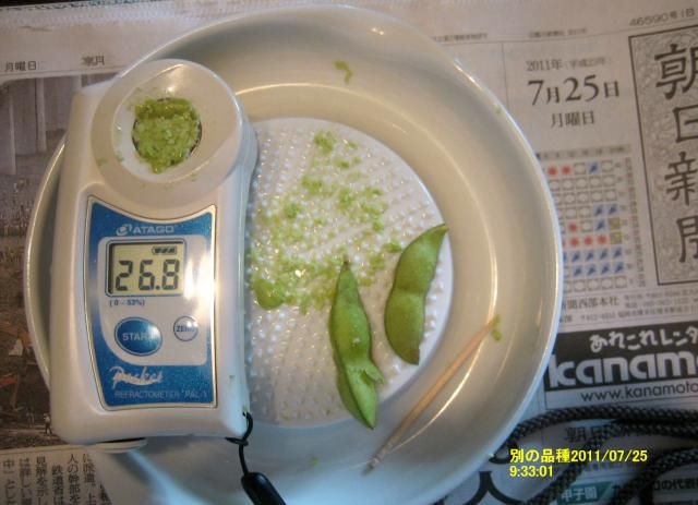 枝豆の収穫糖度がなんと