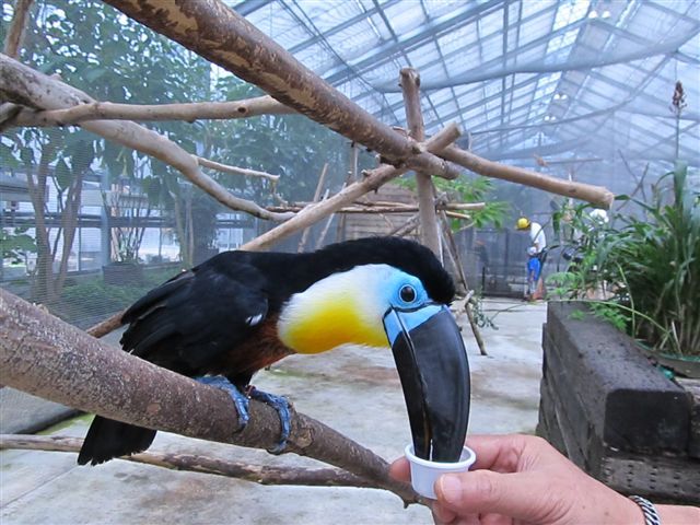 花鳥園（鳥編②）