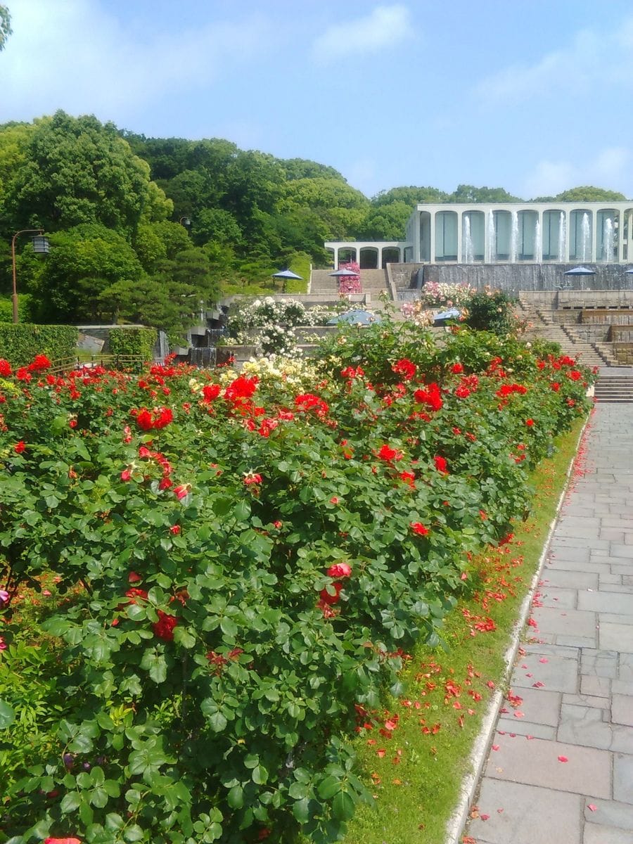 須磨離宮公園