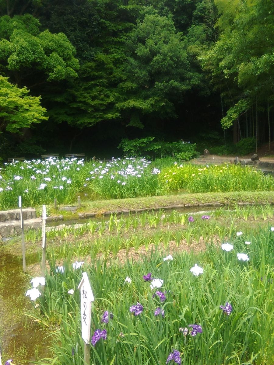 須磨離宮公園