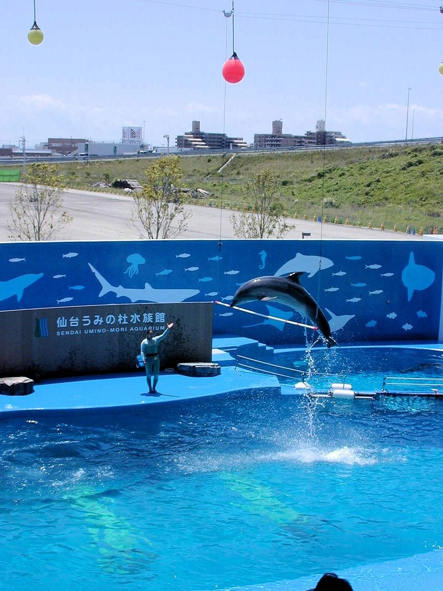 仙台うみの杜水族館