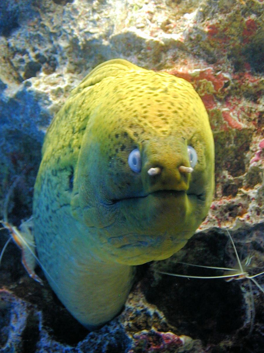 仙台うみの杜水族館