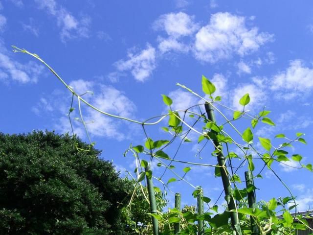 青空！