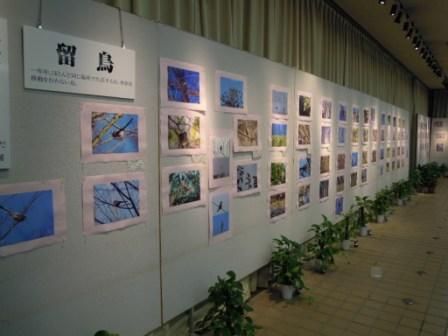 東山で見られる野鳥写真展