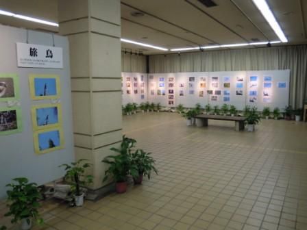 東山で見られる野鳥写真展