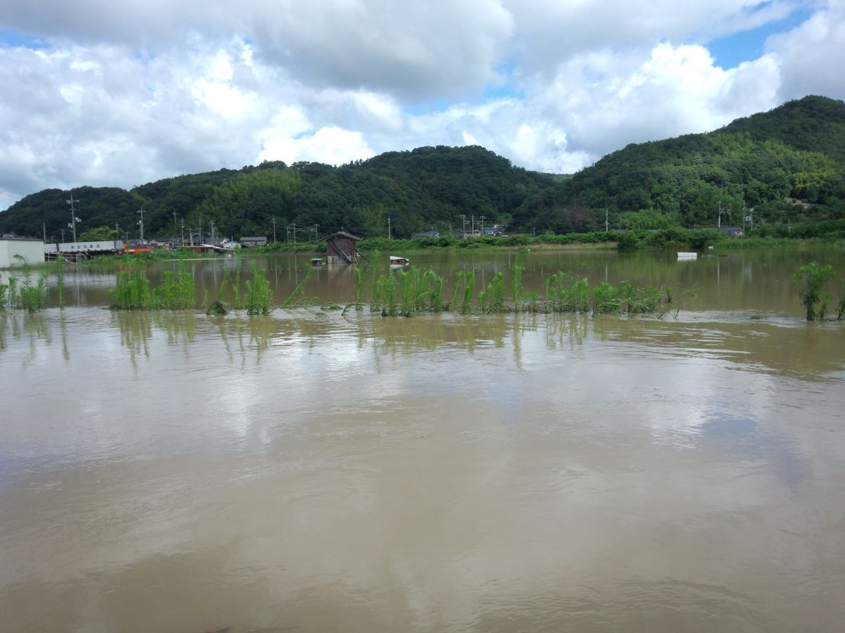 大雨で吉浜冠水