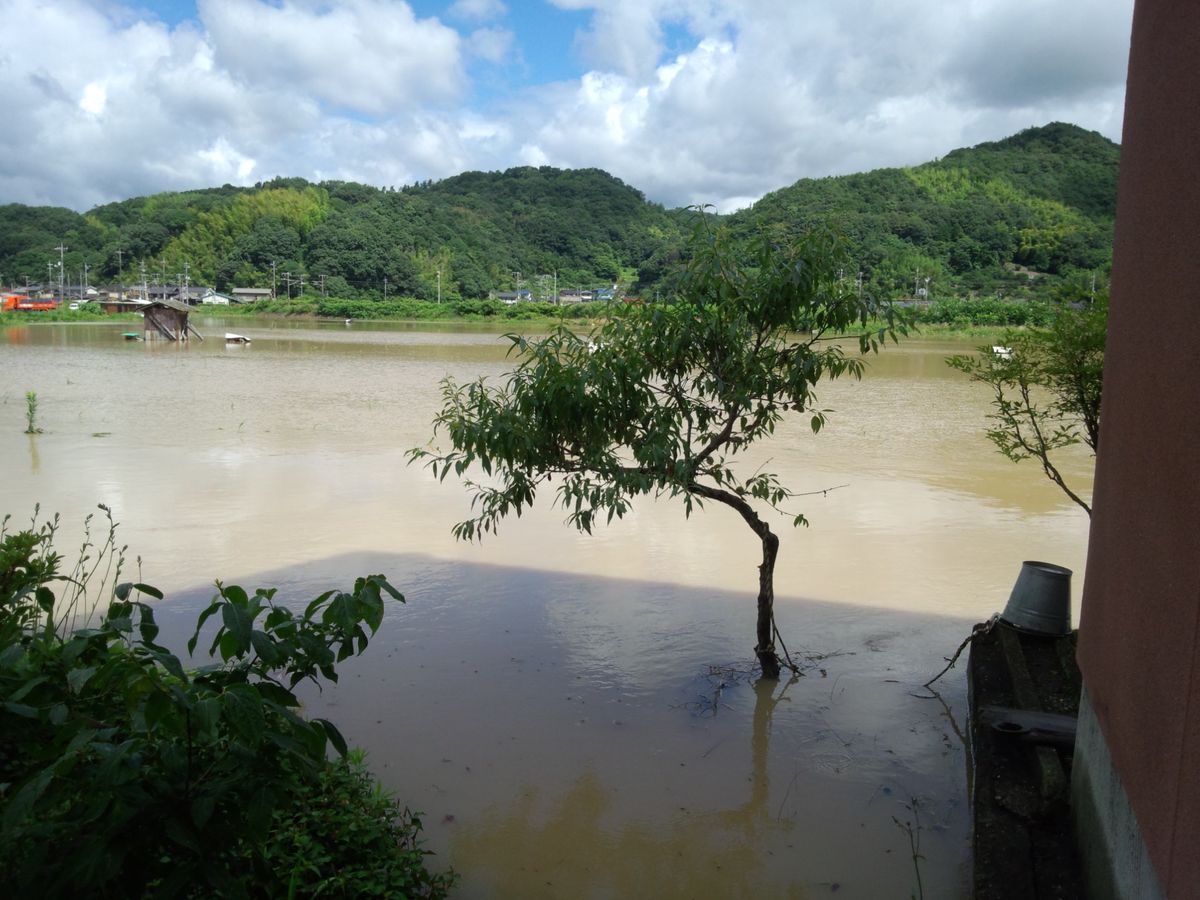 大雨で吉浜冠水