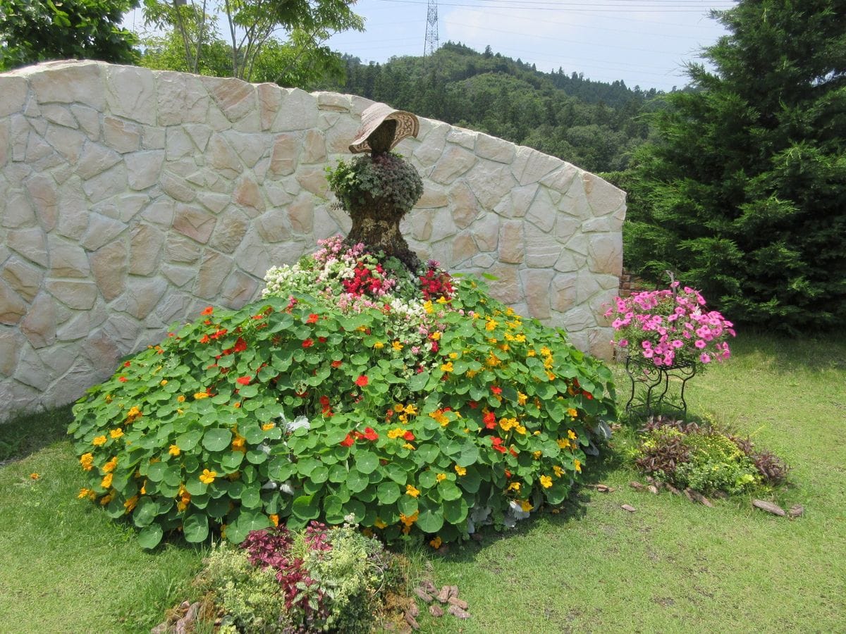 宿根草の庭がすばらしい