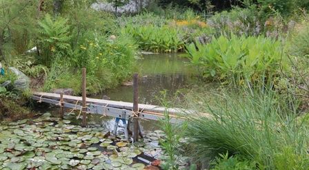 水辺に浮かぶ島に上陸！